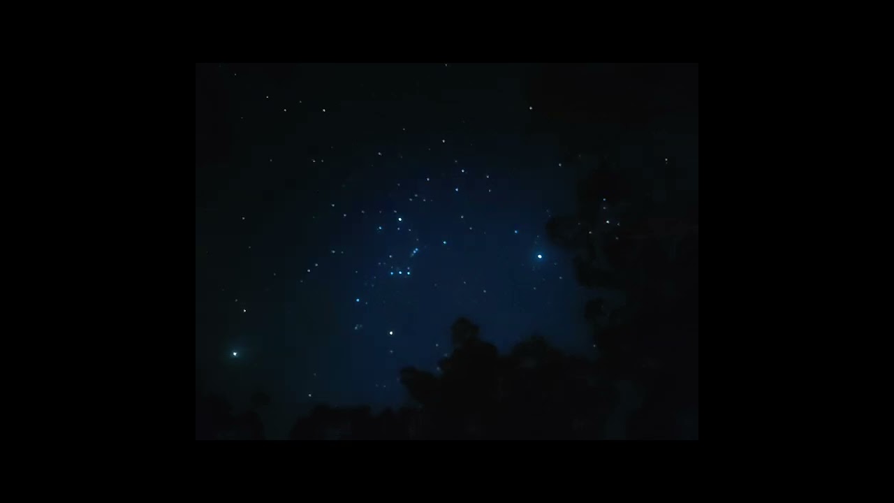  [물고기] s1 ⭐️🌠🌌☁️🌩🌫 아트전! 🐟