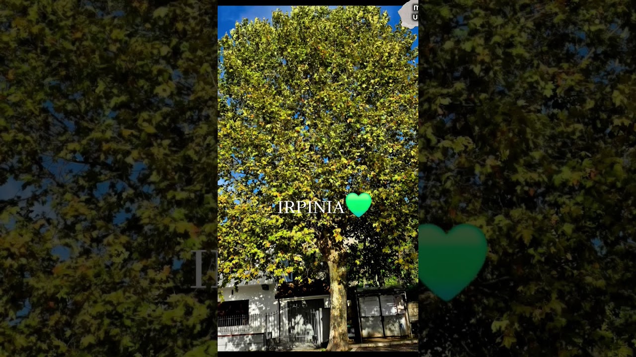 Semplicemente l'IRPINIA💚✨️ . #music #avellino #natural #virale #irpinia #campaniadaamare