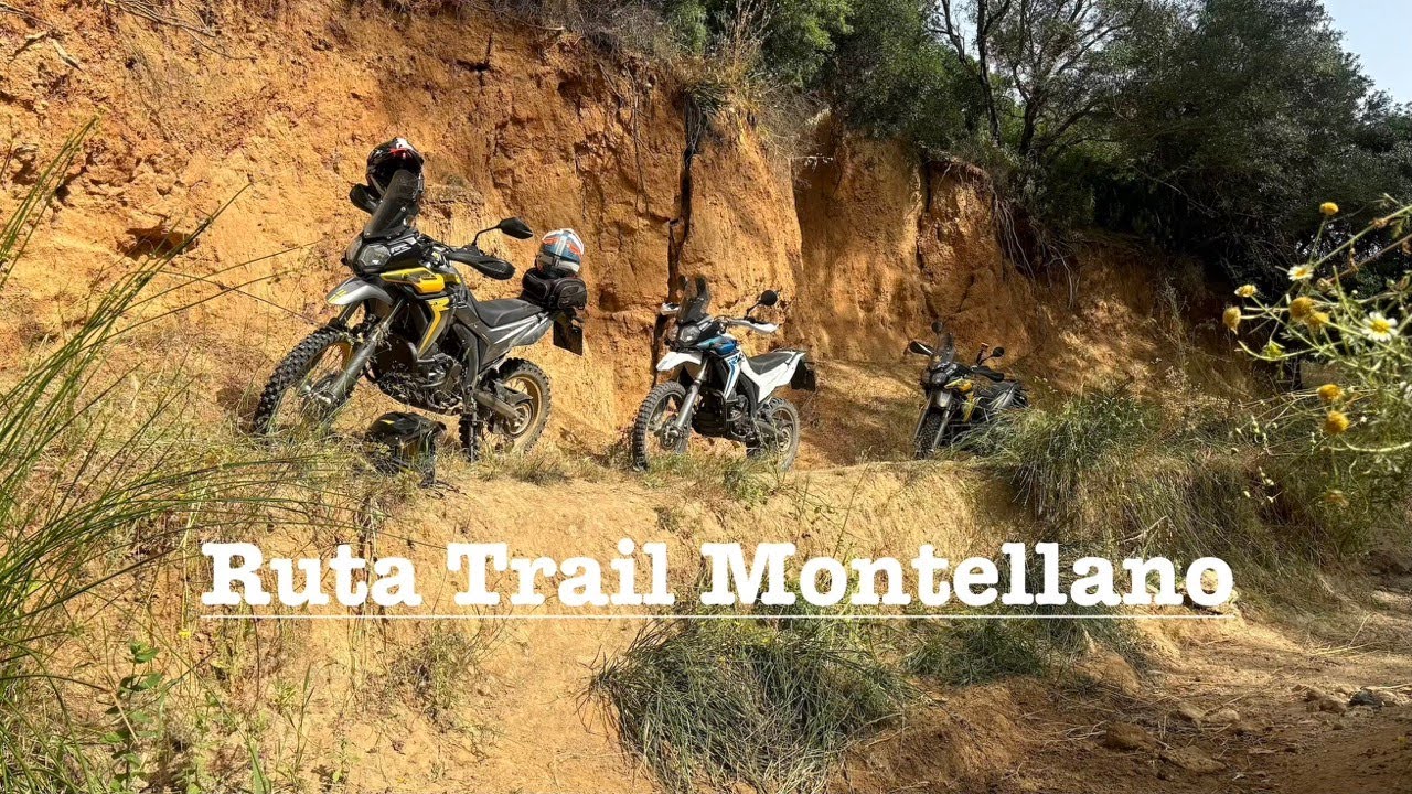 Ruta Trail Montellano 26 de Mayo 2024