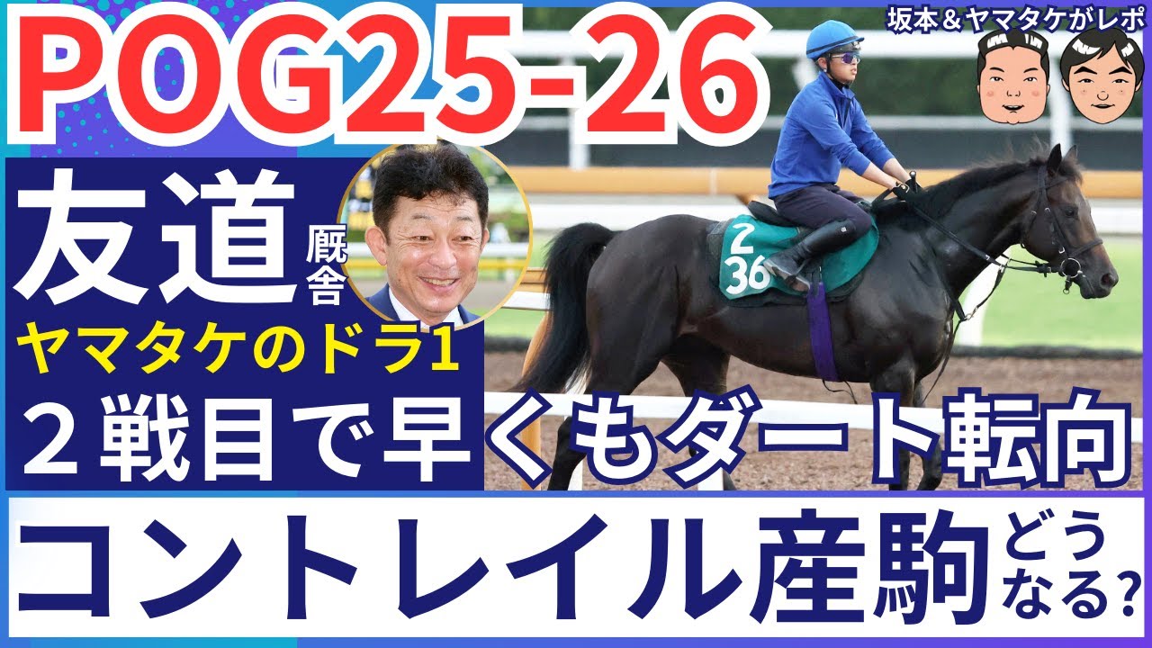 【POG2025-26】２歳馬１４頭の最新情報をお届け！友道厩舎の高額馬デビュー！矢作厩舎、宮田厩舎の新馬も続々