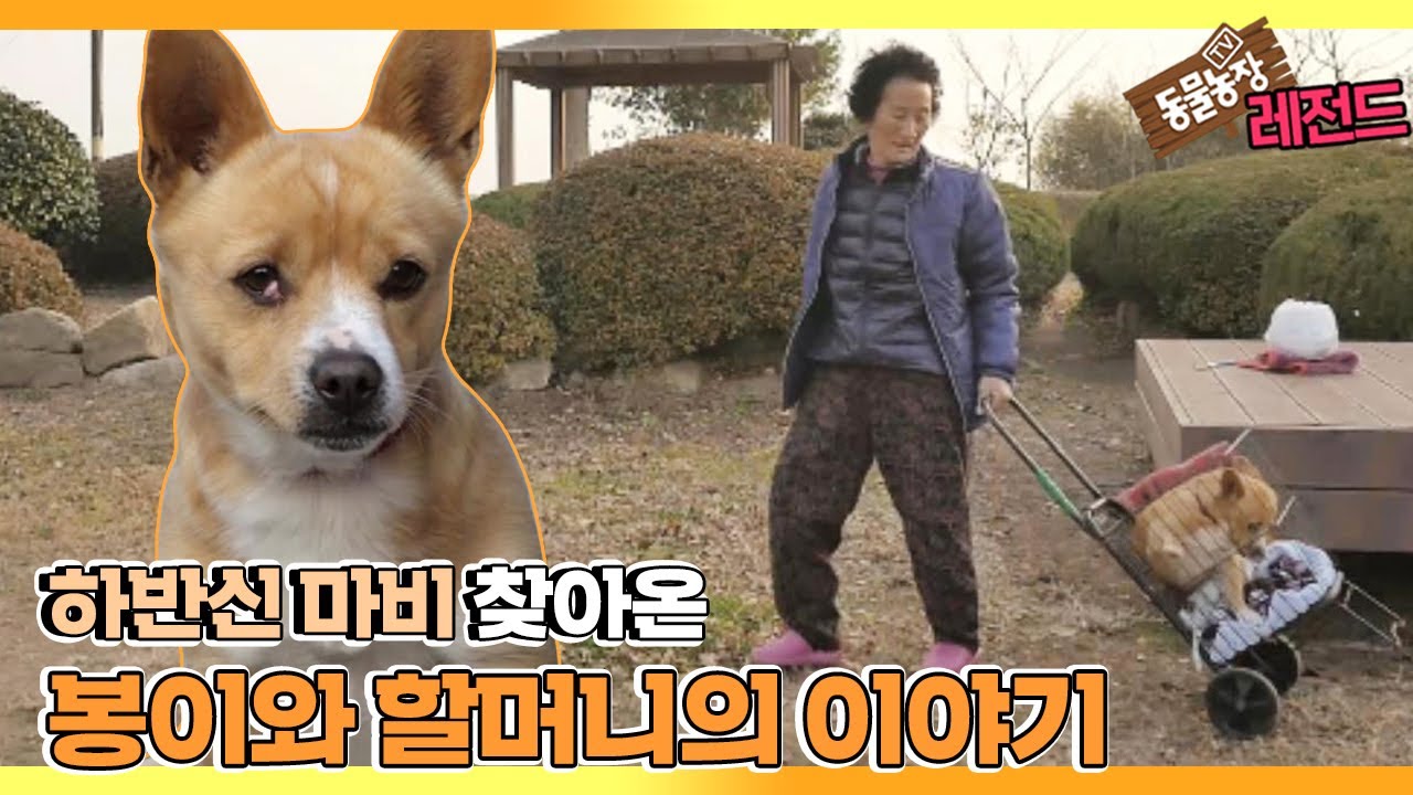[TV 동물농장 레전드] ’봉이에게 예고 없이 찾아온 시련’ 풀버전 다시보기 I TV동물농장 (Animal Farm) | SBS Story