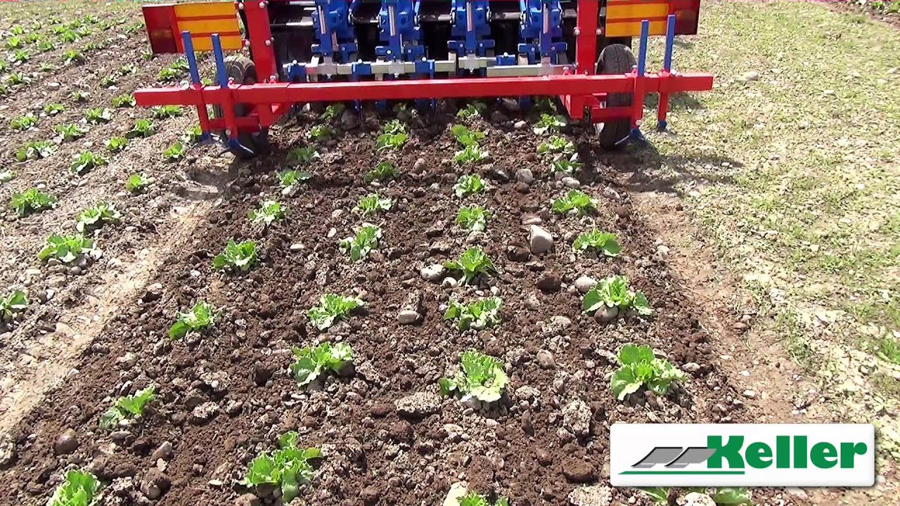 Ferrari Hackroboter Keller Technik AG