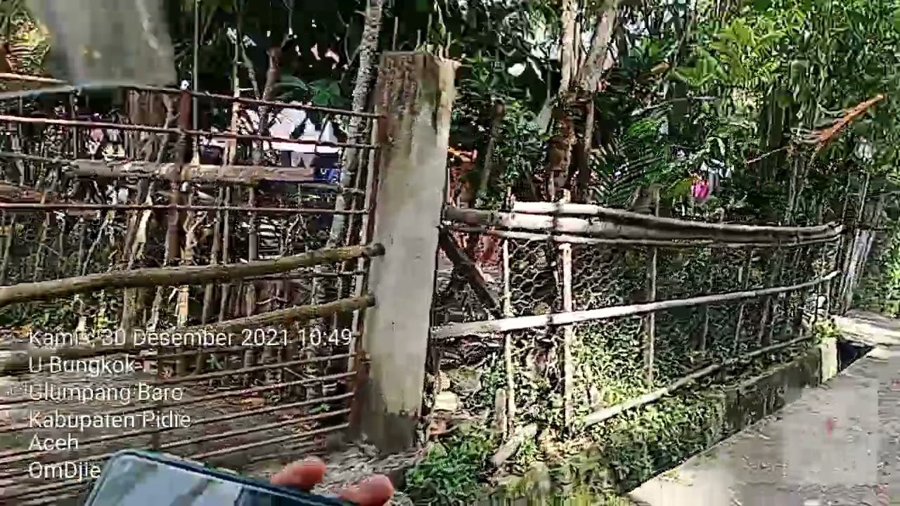 Mengenal  Aceh Lebih Dekat Gampong Kembang Tanjung Sigli (Kabupaten Pidie)