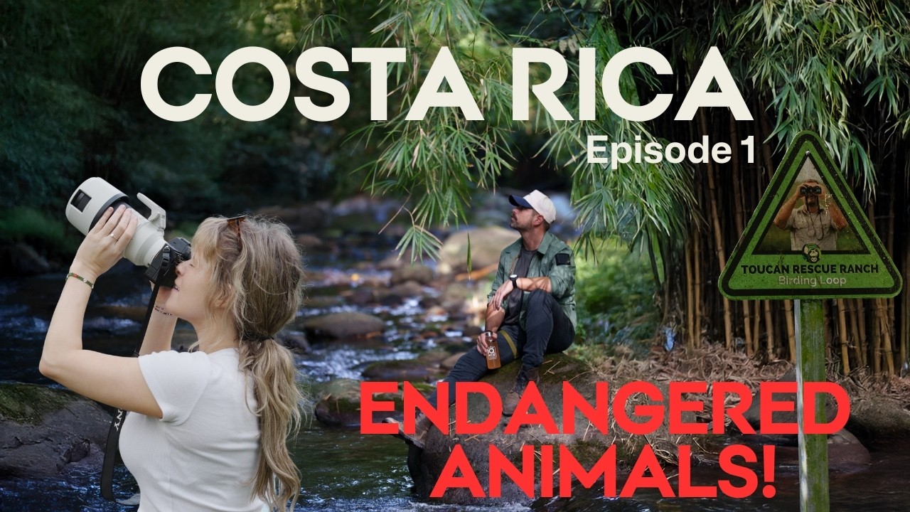 Inside Costa Rica&rsquo;s Wildlife Rescue Emergency Room