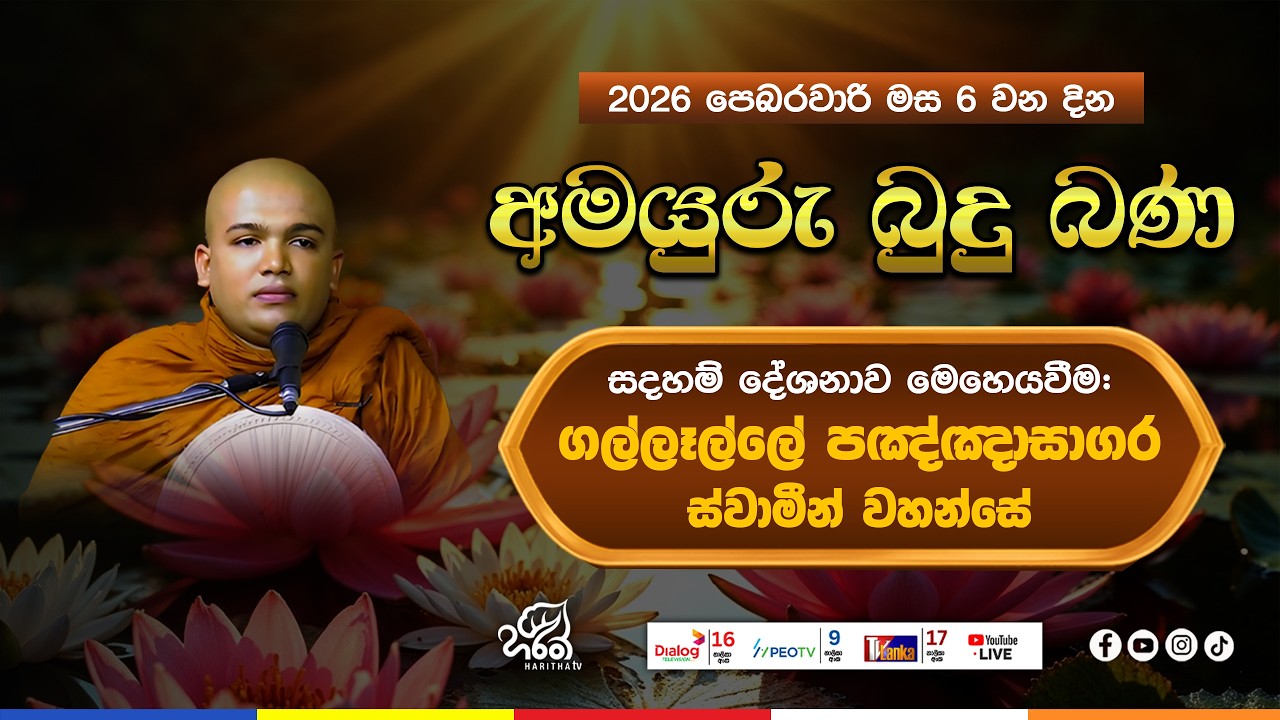 අමයුරු බුදු බණ | Amayuru Budhu Bana | Ven. Gallalle Pagngnasagara Thero | Haritha TV