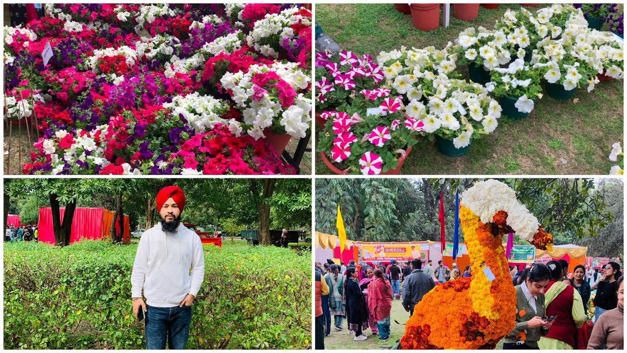 Flower show and food festival vlog