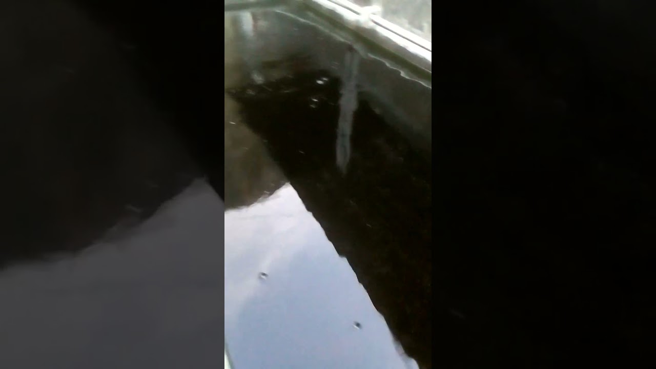 aerator jebo p30 untuk 5 titik kedalaman air 1 meter