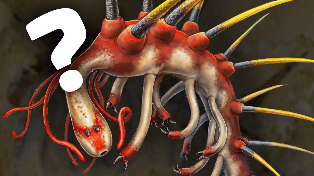 O mistério do fóssil invertido? Quem foi o Hallucigenia???