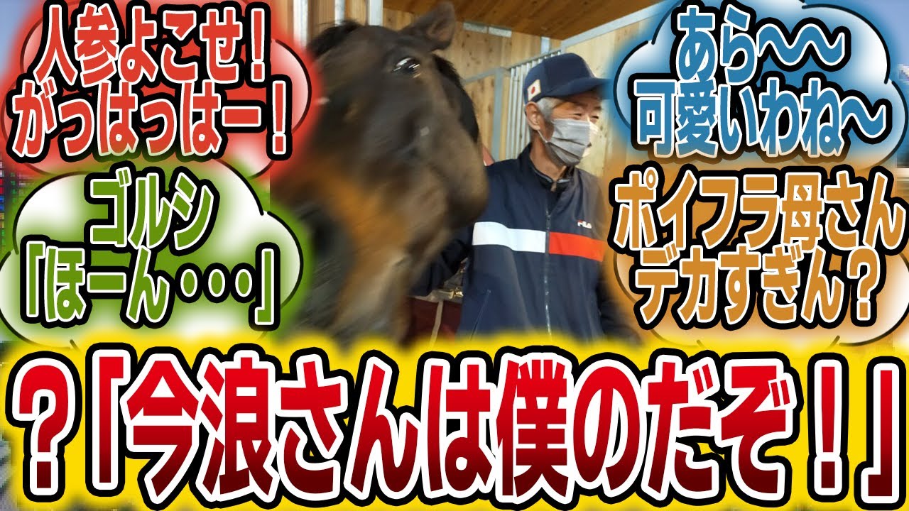 「イエーイ！シップにい見てるー？！」に対するみんなの反応【競馬の反応集】
