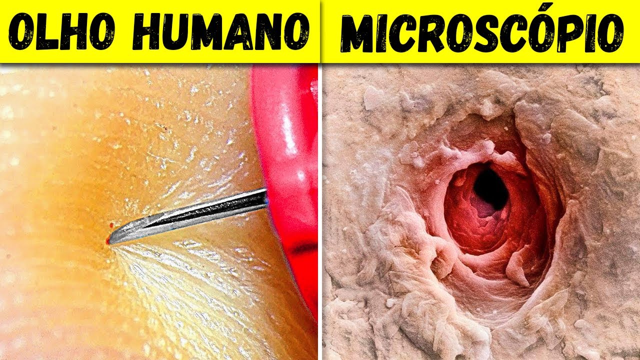 50 COISAS QUE VOC&Ecirc; S&Oacute; PODE VER COM UM MICROSC&Oacute;PIO