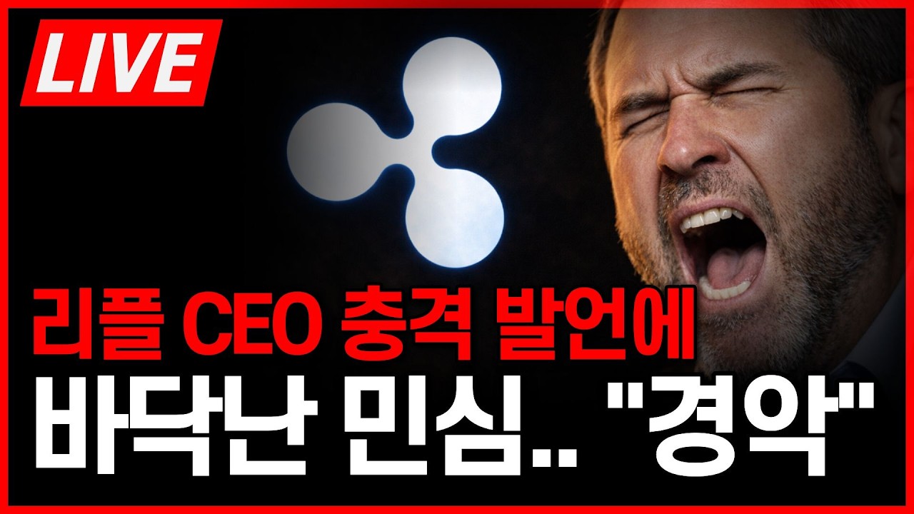 리플 CEO 브래드 갈링하우스 충격 발언에 바닥난 민심.. '5년 더 기다려라?'