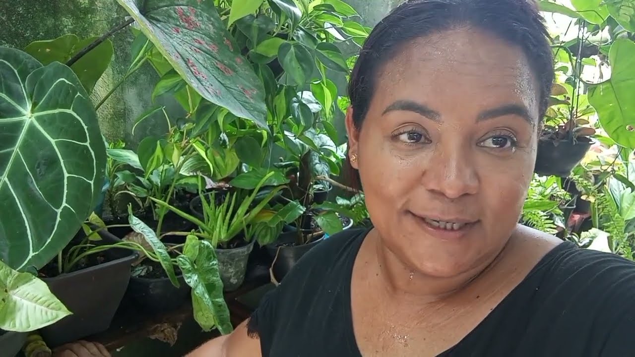 MEU JARDIM MARAVILHOSO 🤩 FIZ MUITOS REPLANTES 
