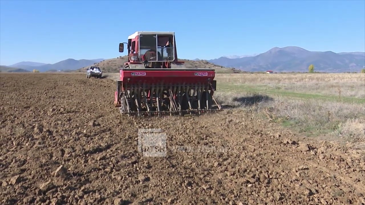 Nisin mbjelljet pranverore, fermerët e Maliqit kërkojnë më shumë mbështetje për naftën