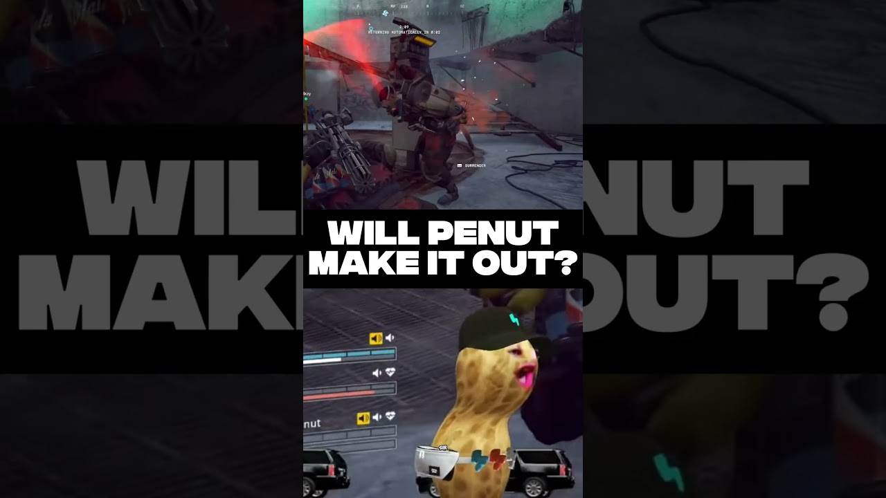 Will Peanut Make It Out Alive