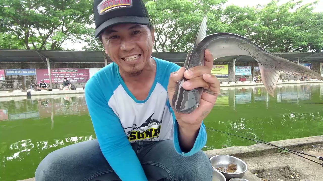 MANCING HARIAN //Kp.mekar arum DENANYAR JOMBANG