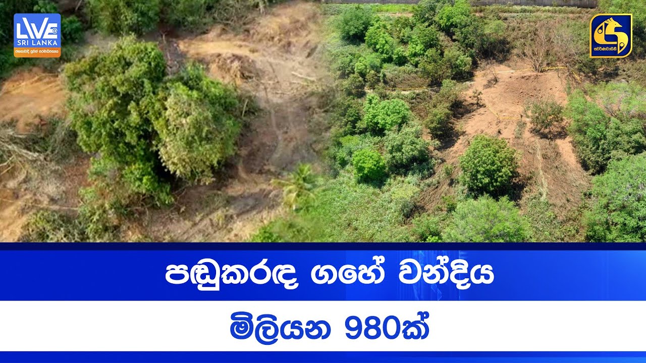 පඬුකරඳ ගහේ වන්දිය මිලියන 980ක්