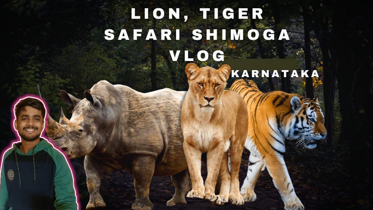 LION TIGER SAFARI #shimoga #karnataka #2024