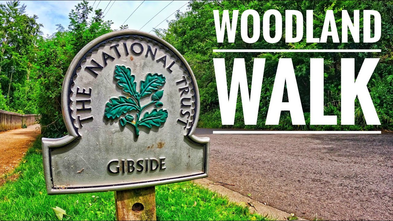 Gibside | National Trust | Nature Walk