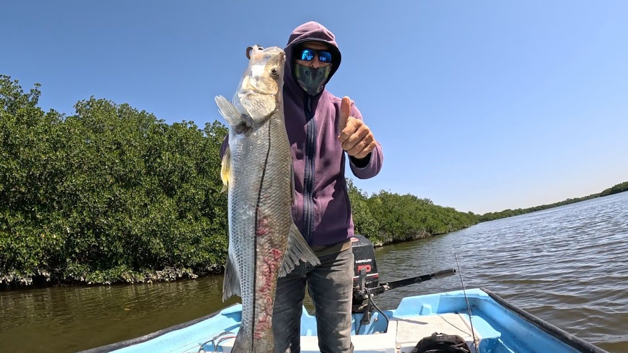 Excelente Pesca ,Pensé k era Pargo y salió Robalo