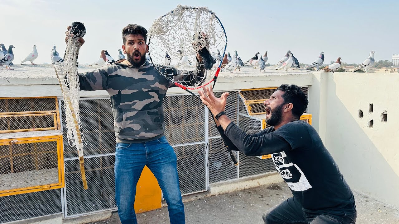 1 lakh walay kabutaron ka jora paker liya 😳😱