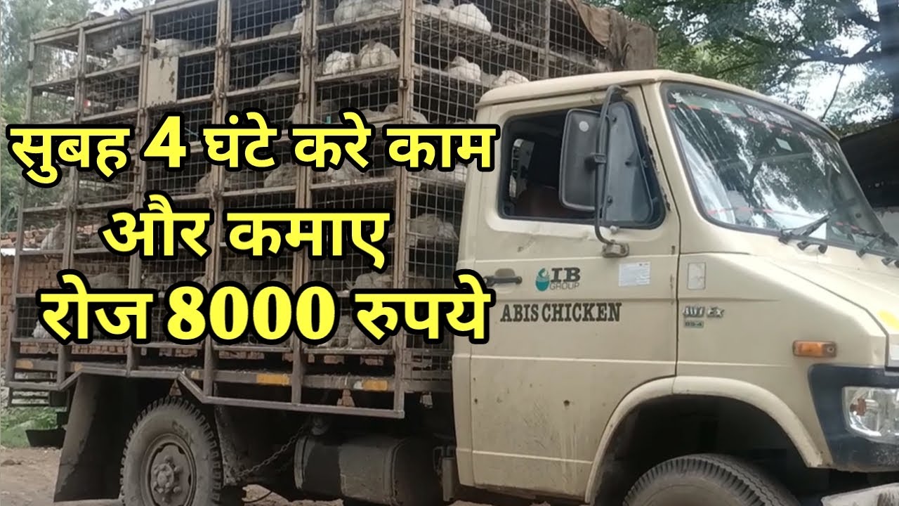 Murgi Supply,Broiler Supplier Business, poultry Businese