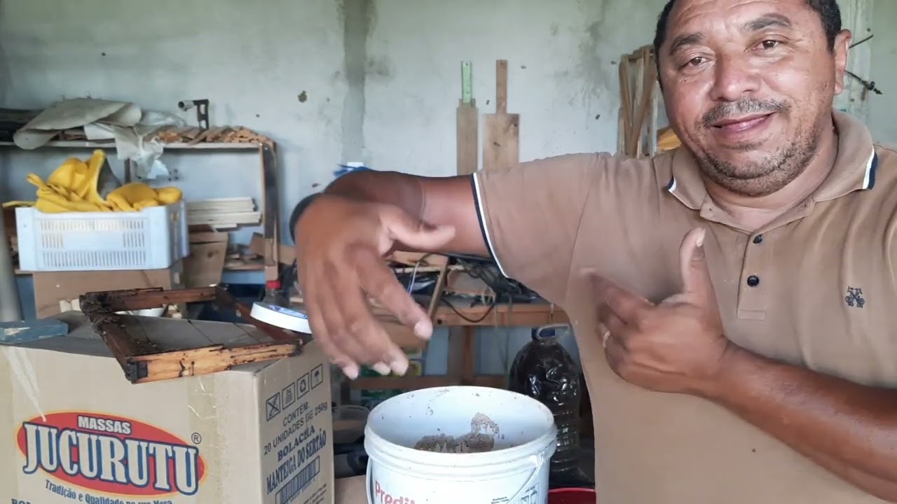 BALDE-ISCA PARA CAPTURA DE ABELHA APIS