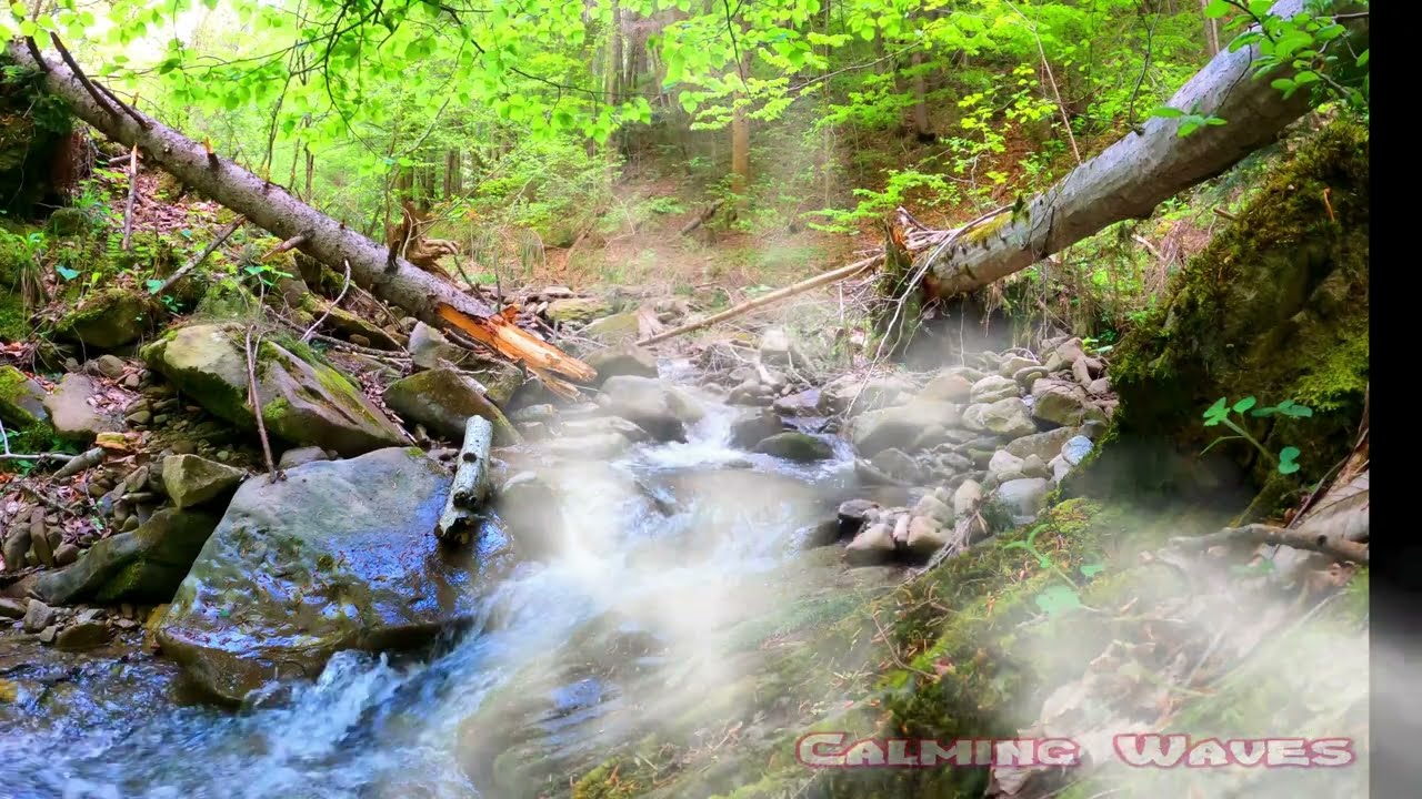 Let the Sounds of River and Birds Carry You Away into a Peaceful Slumber