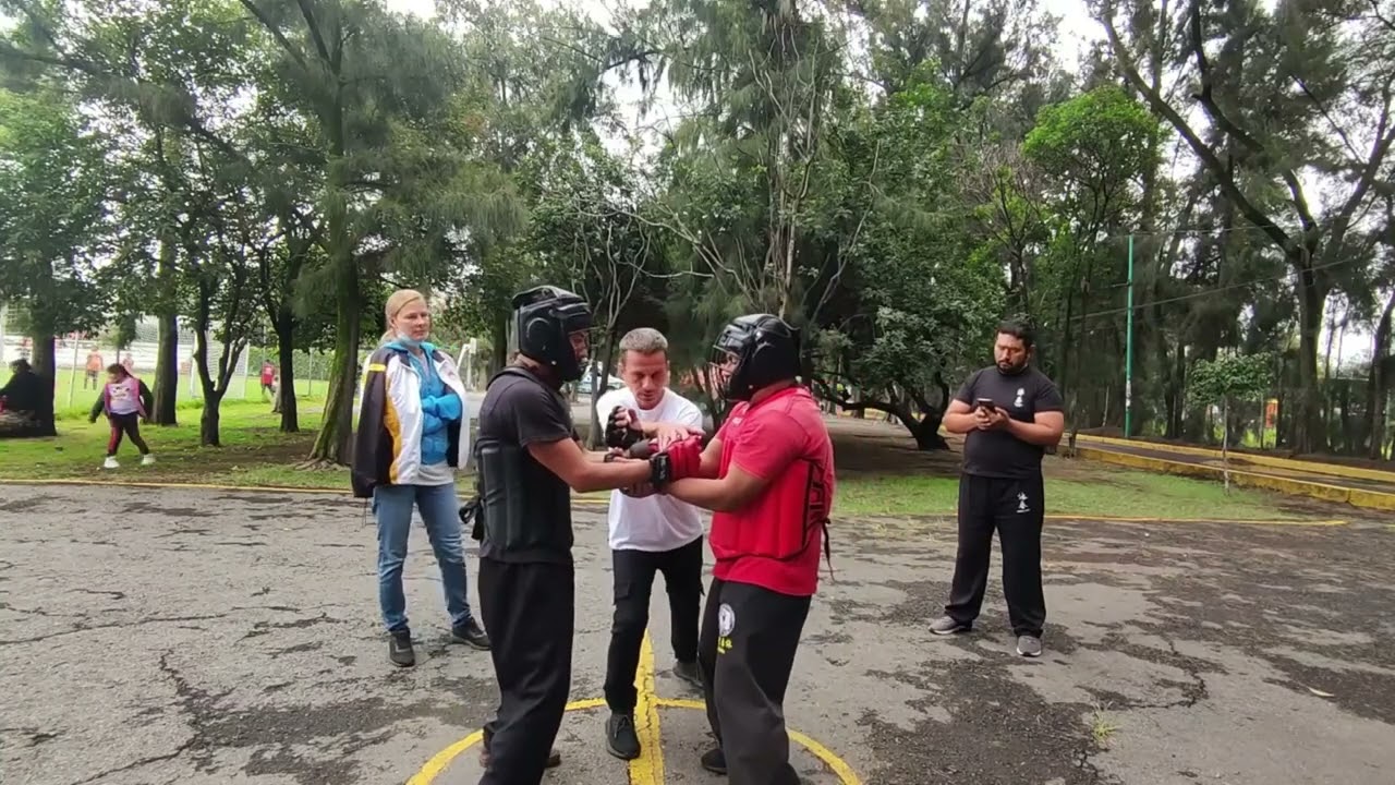 Repaso de Chi Sao sparring #ipman #wingchun #fight #wingchunkungfu #box #boxing #deporte