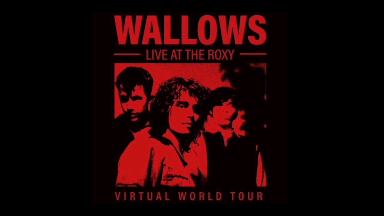 Wallows - Ice Cold Pool - Underneath The Streetlight In The Winter // Live At The Roxy