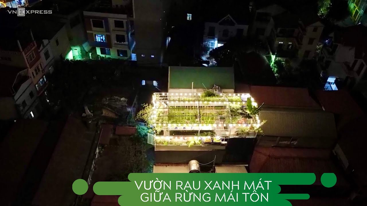 Vườn rau sân thượng 