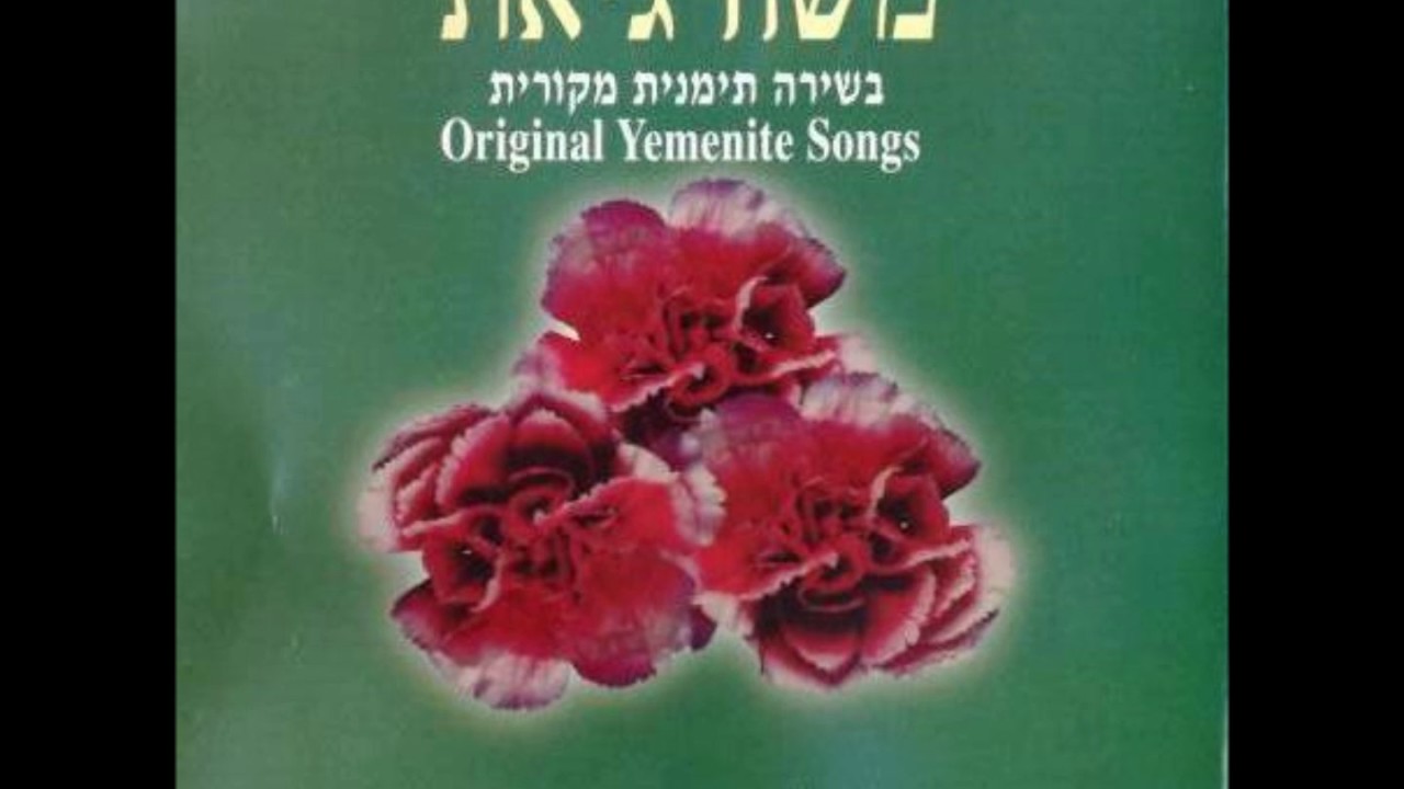 משה גיאת שור דודי