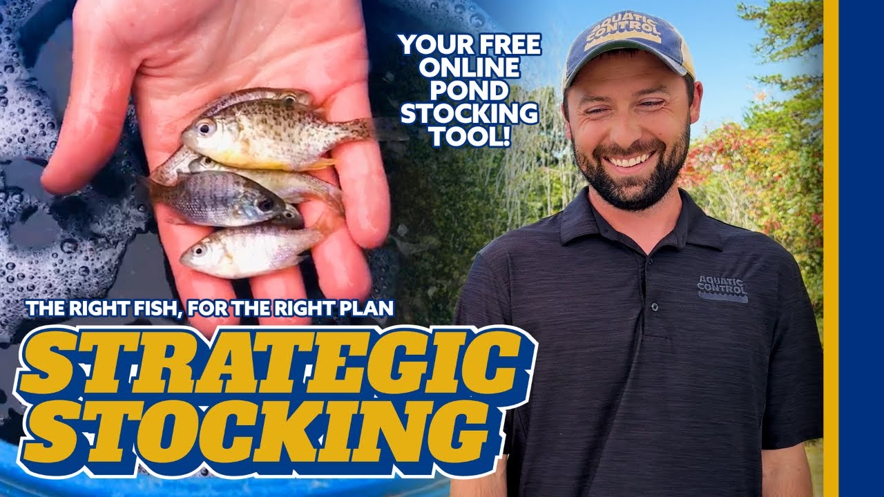 What Fish Should You Stock? | Free Online Pond Stocking Tool (Custom Plan in Minutes)