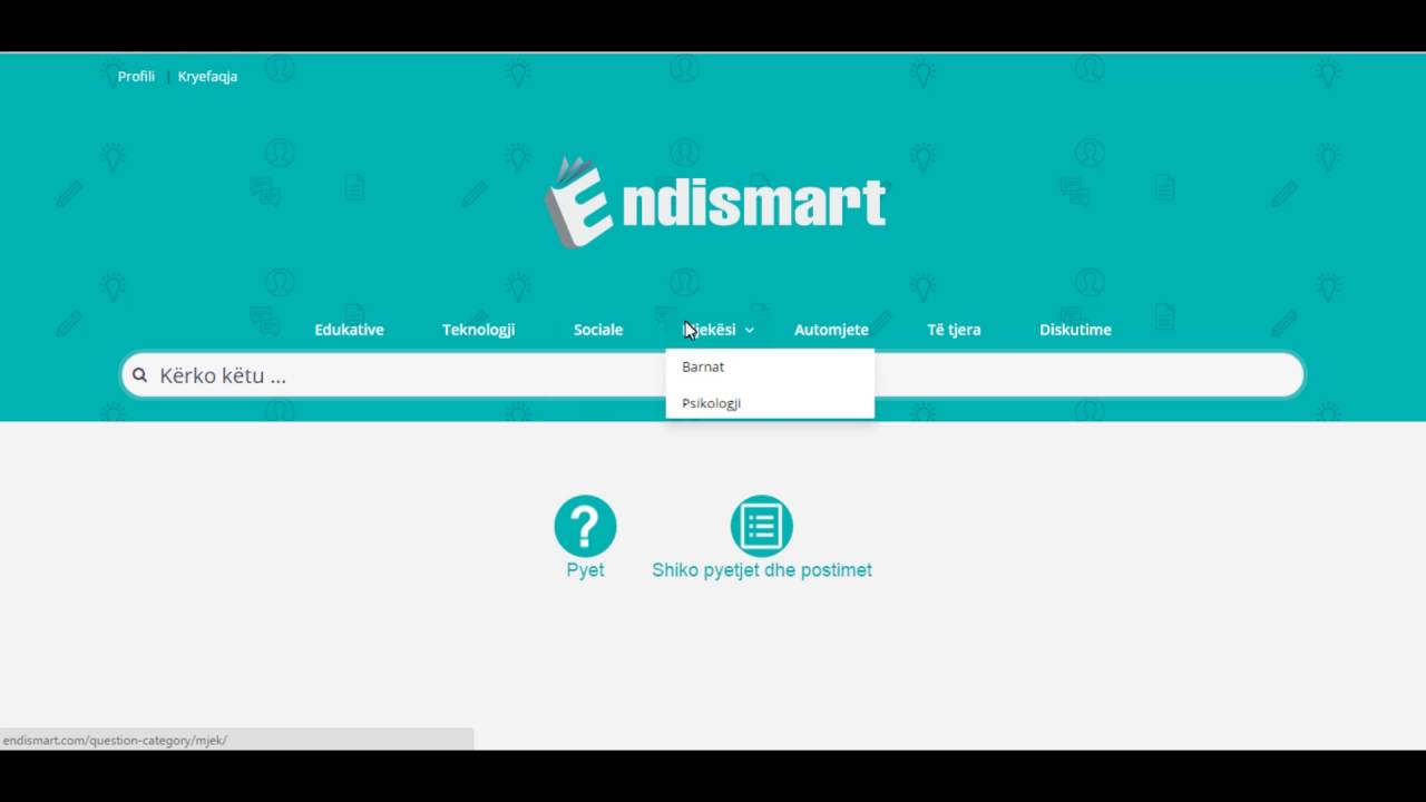 Kategorit&euml; e pyetjeve tek Endismart.com