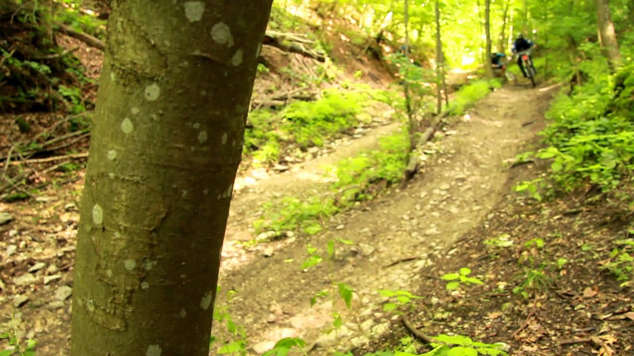 ShrEd it Episode 1