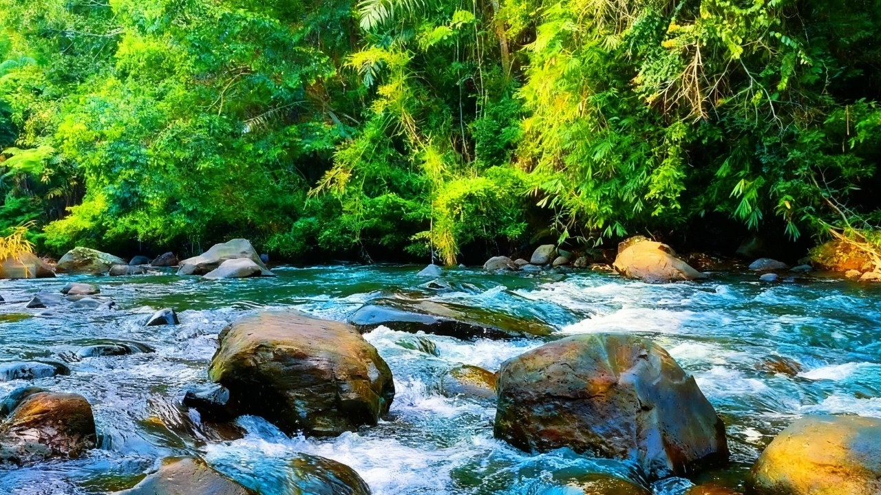 Peaceful Flowing River Sounds | Nature White Noise Ambience