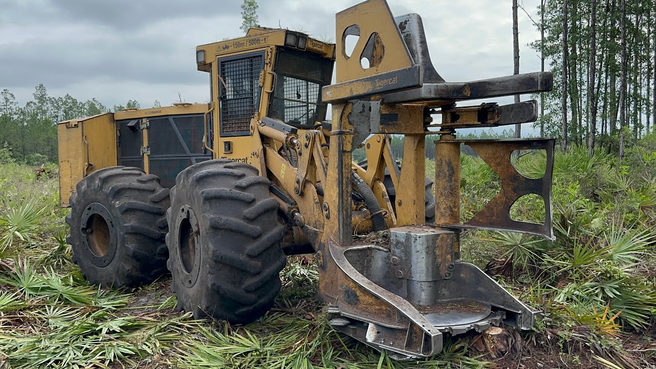 Валочно-пакетирующая машина Tigercat 720G для сплошной рубки🌲