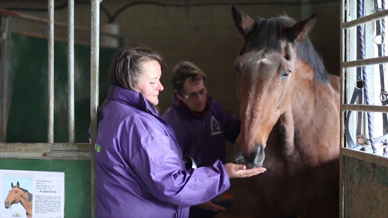 4 Balzanes - Capsule de vie (1)