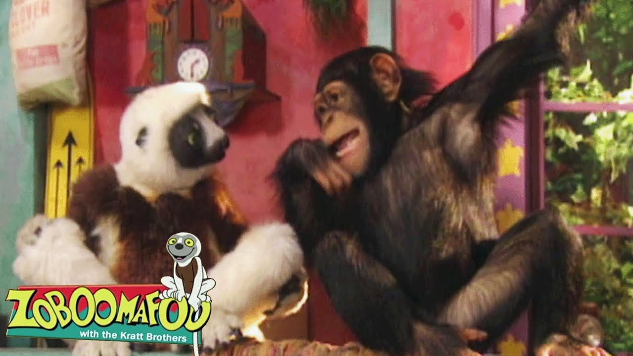 Poder do Cérebro | Zoboomafoo Português - WildBrain | Episódios Completos para Crianças