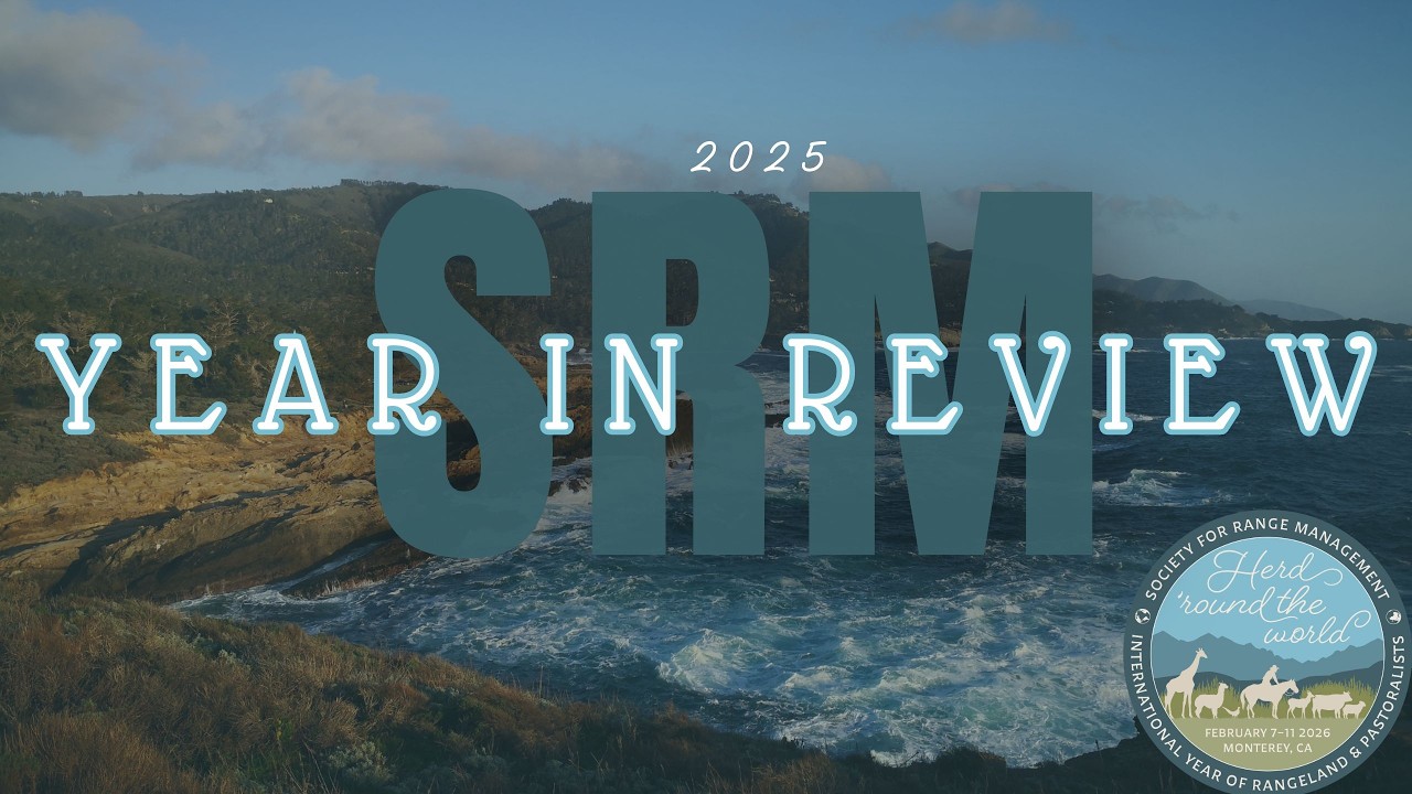 2025 Year in Review