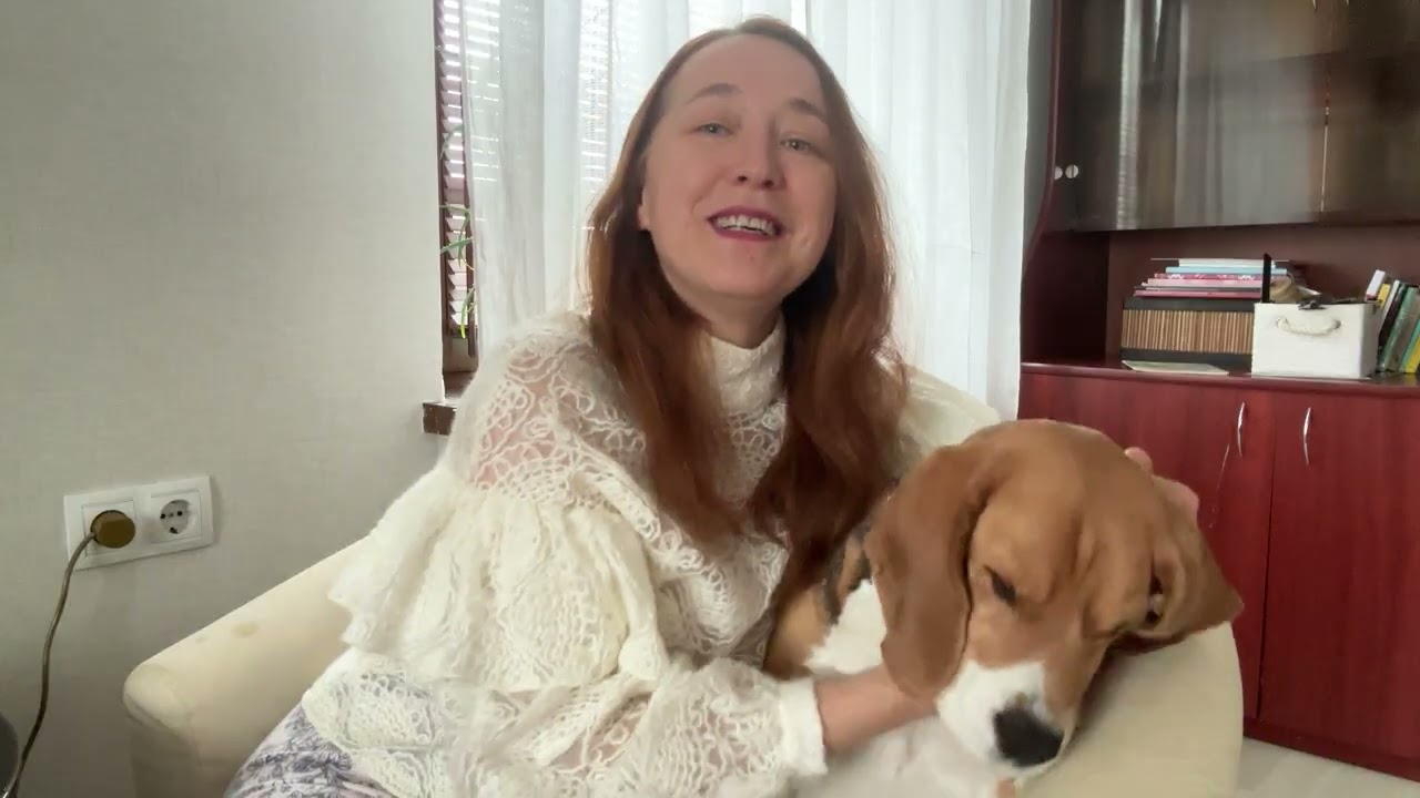 Знакомство с хозяйкой и Арчиком #собака #знакомство #каналдушевный #милоеживотное #