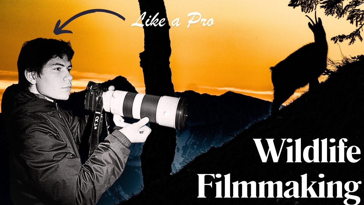 7 professionelle Tipps für kreatives Wildlife-Filmmaking