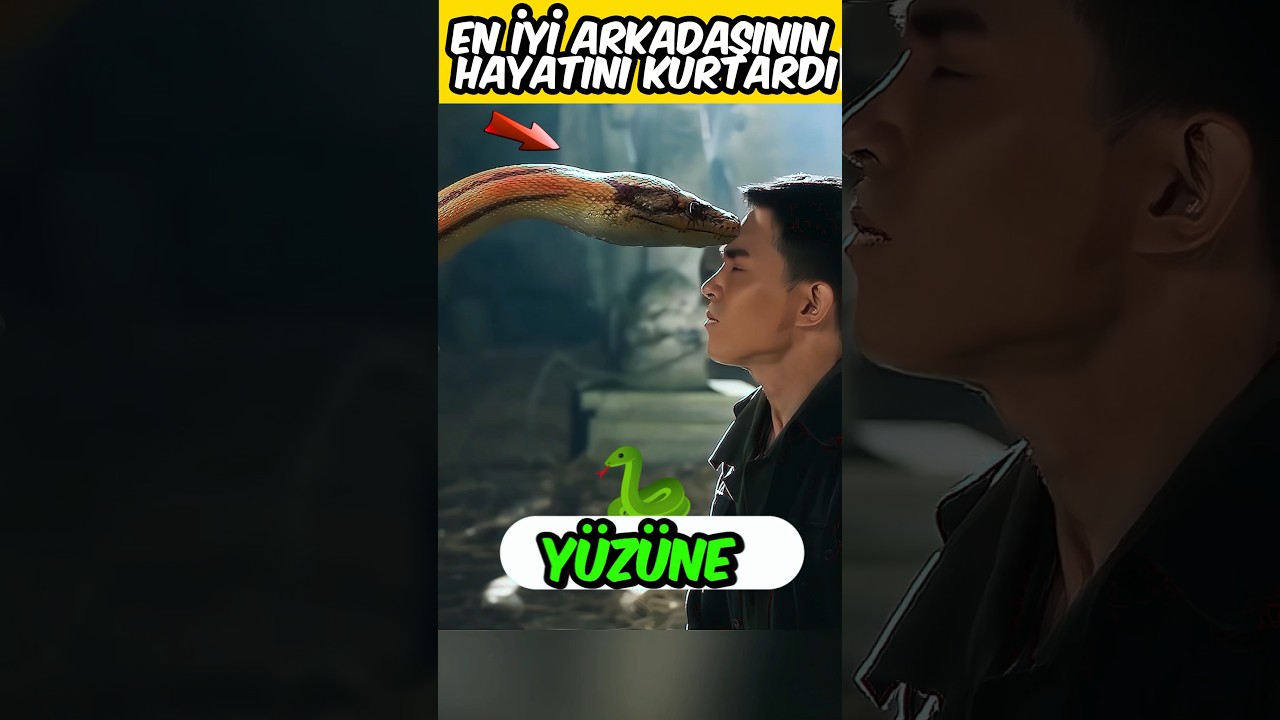 BU YILAN SAHİBİNE &Ccedil;OK BAĞLIYDI ❤️😱