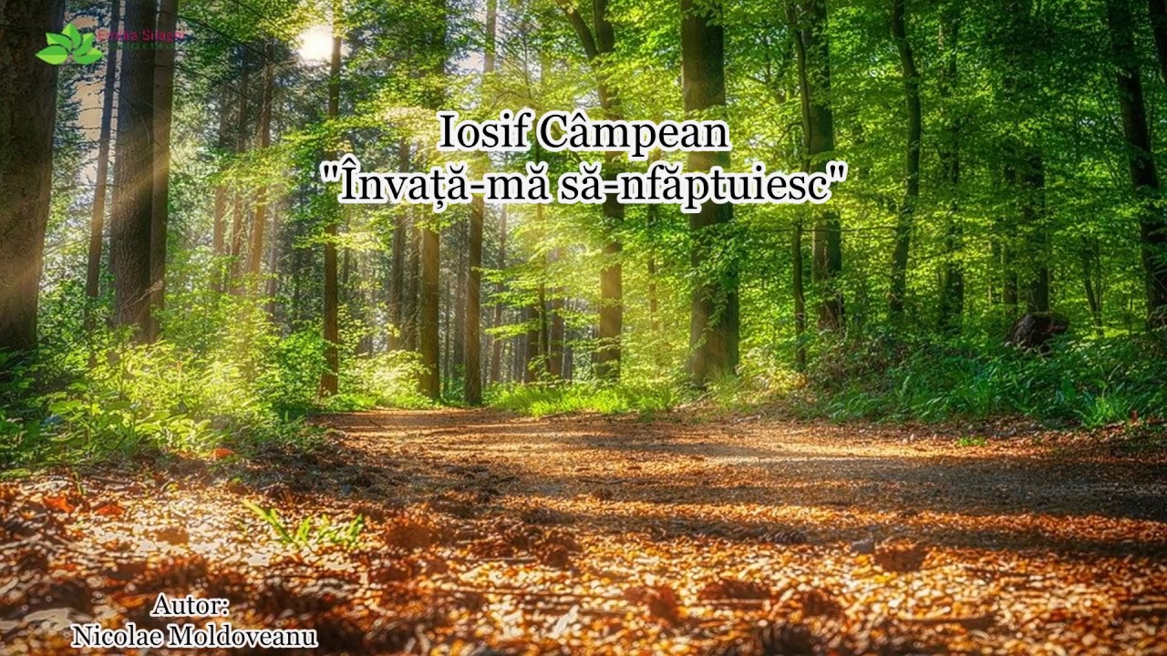Iosif Câmpean 
