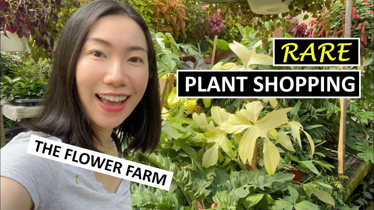 Secret Green Houses Reveal & RARE Plant Shopping at My Favorite Nursery in KC | The Flower Farm