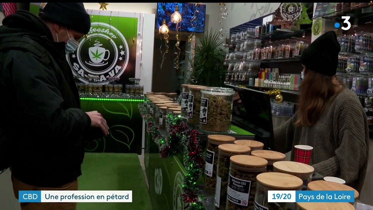 L'interdiction de la vente de fleurs de CBD en France