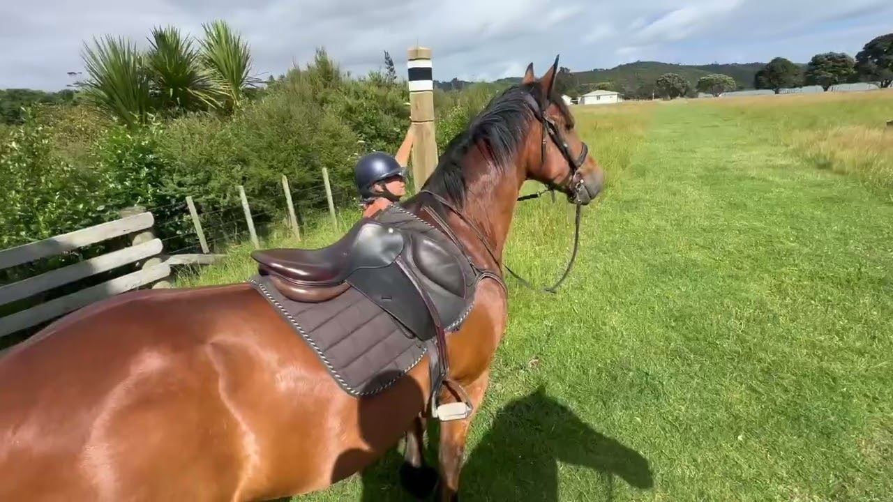 Hank and Evo do Duders