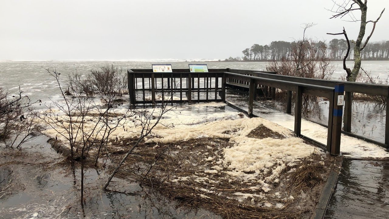 Coastal Storms and Sea Level Rise in Maine w/ Pete Slovinsky 12-11-24