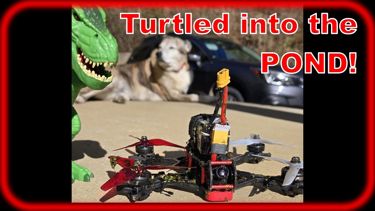 Turtled into the POND!