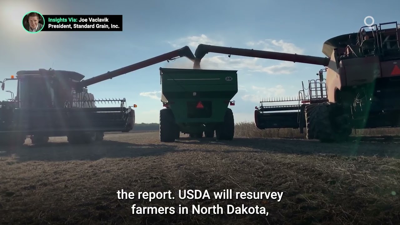 US Soybean Acreage Surprises Grain Markets