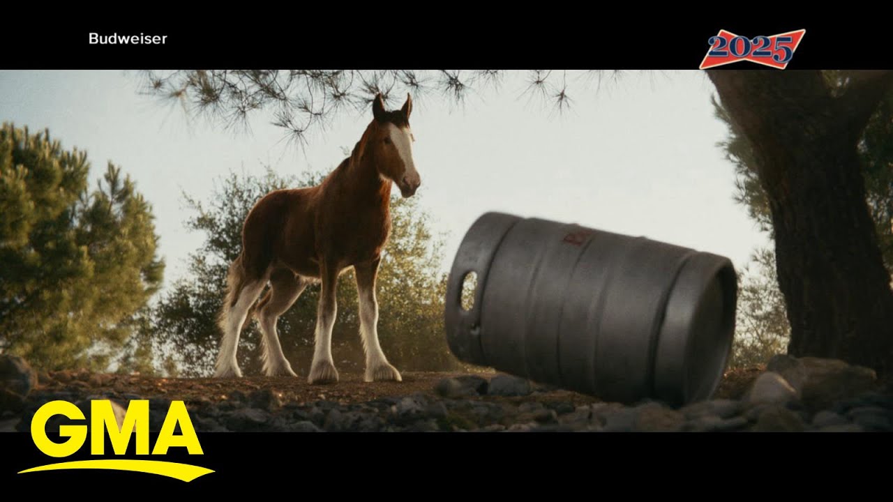 Budweiser unveils new Super Bowl ad